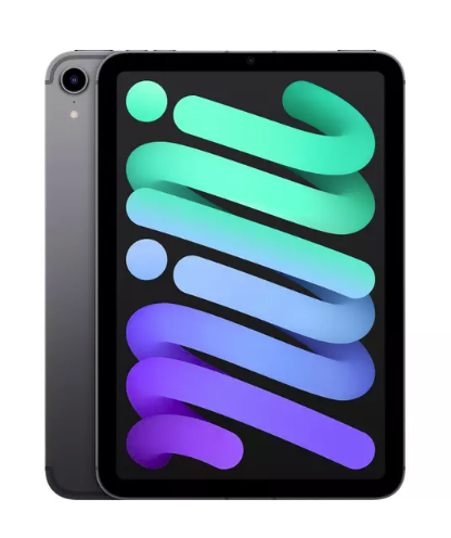 APPLE 8.3" iPad mini Cellular (2021) - 256 GB, Space Grey